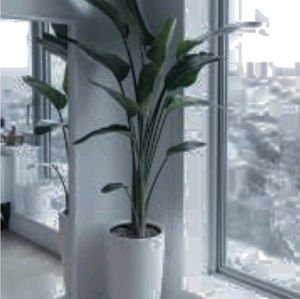 Meet your Posher, Ben